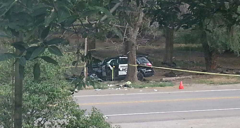 A crashed police SUV is seen behind a tree ib a wooded area